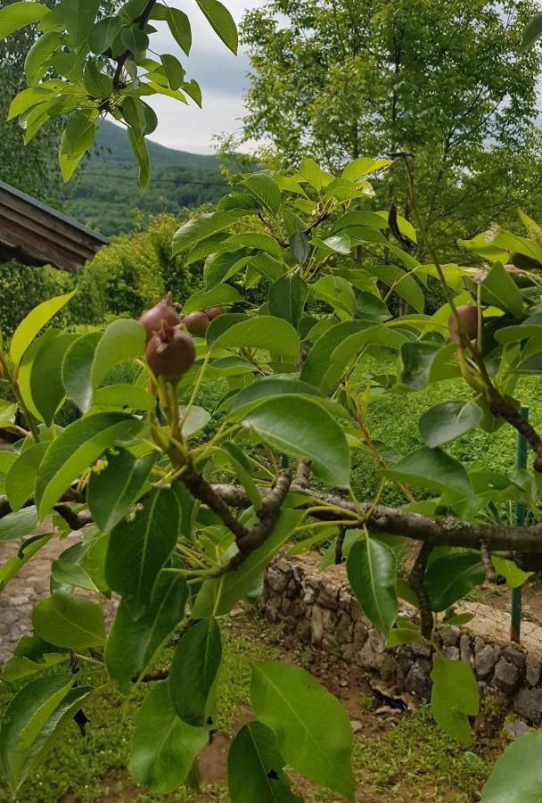 Country House Bihać Zewnętrze zdjęcie