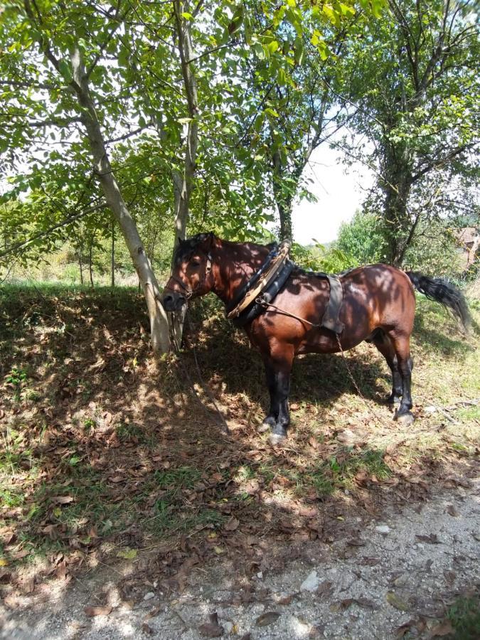 Country House Bihać Zewnętrze zdjęcie