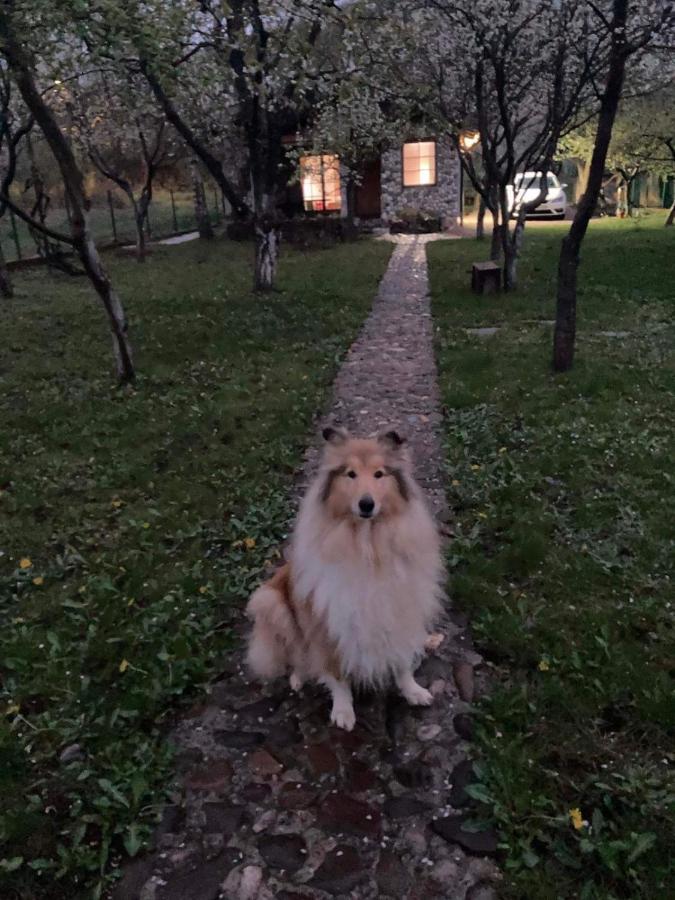 Country House Bihać Zewnętrze zdjęcie